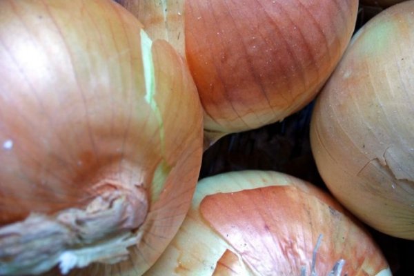 Кракен сообщество