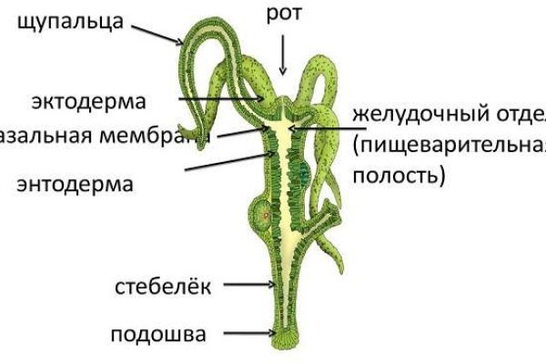 Как зайти на кракен с компа