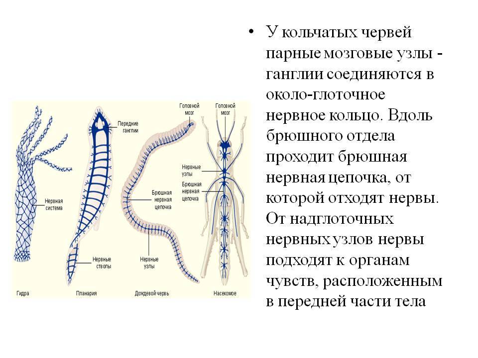 Кракен ссылку где